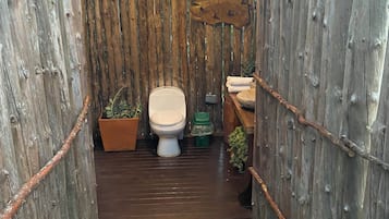 Shower, towels, soap, toilet paper