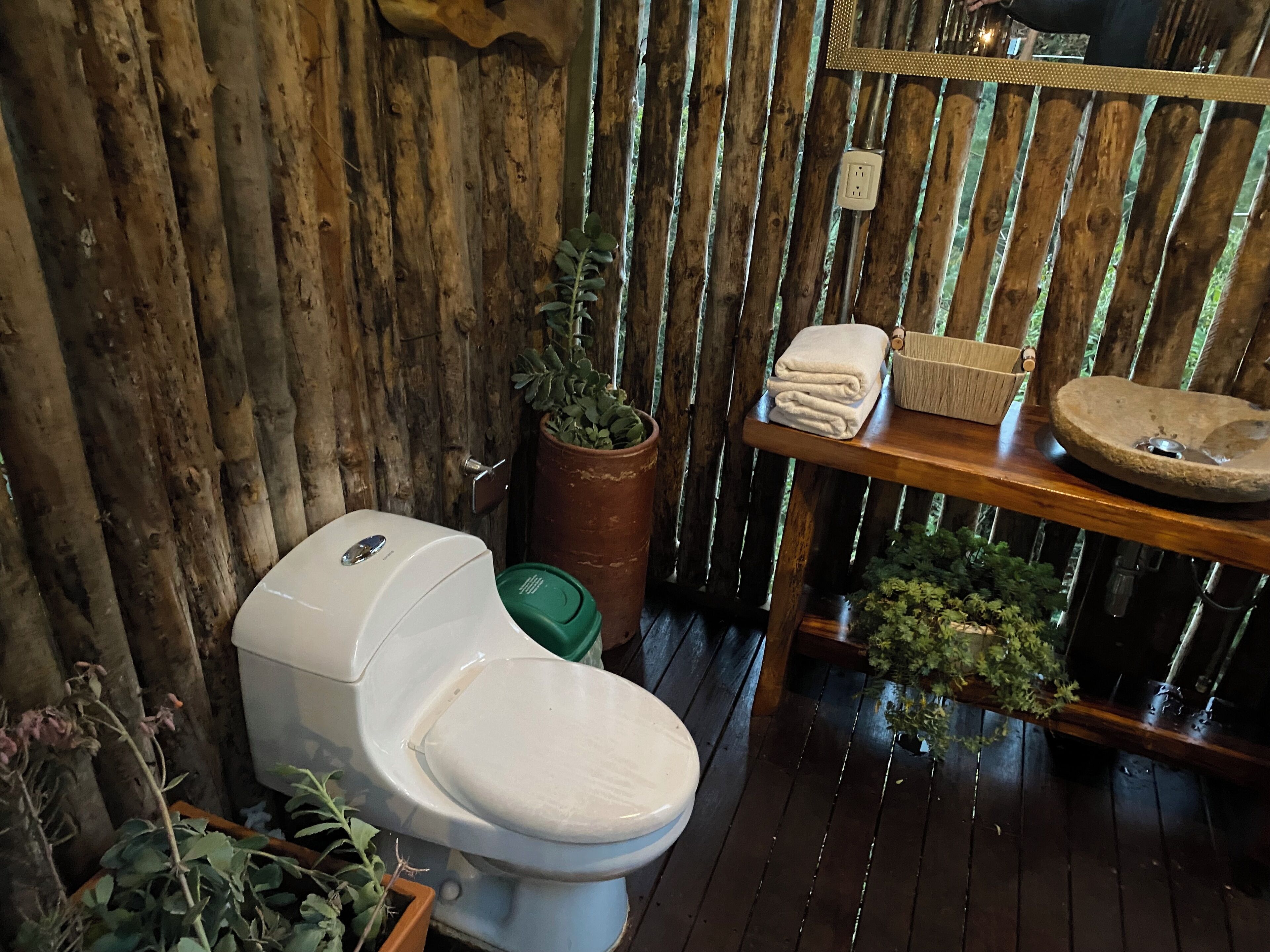 Ducha, toallas, jabón y papel higiénico