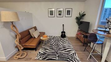 Smart TV, fireplace, books