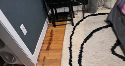 Fabulous 2-bedroom house with AC in Manchester