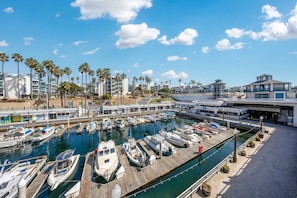 Apartment | 3 bedrooms - Oneluxstay 3BR Home Near the Beach (Redondo Beach)