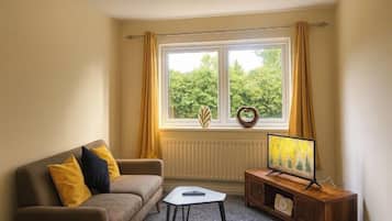 Fernseher