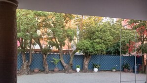 Μια αυλή με δέντρα, ένα μπλε φράχτη και φυτά σε γλάστρες.