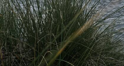 White Beach Retreat - Luxury With Water Views