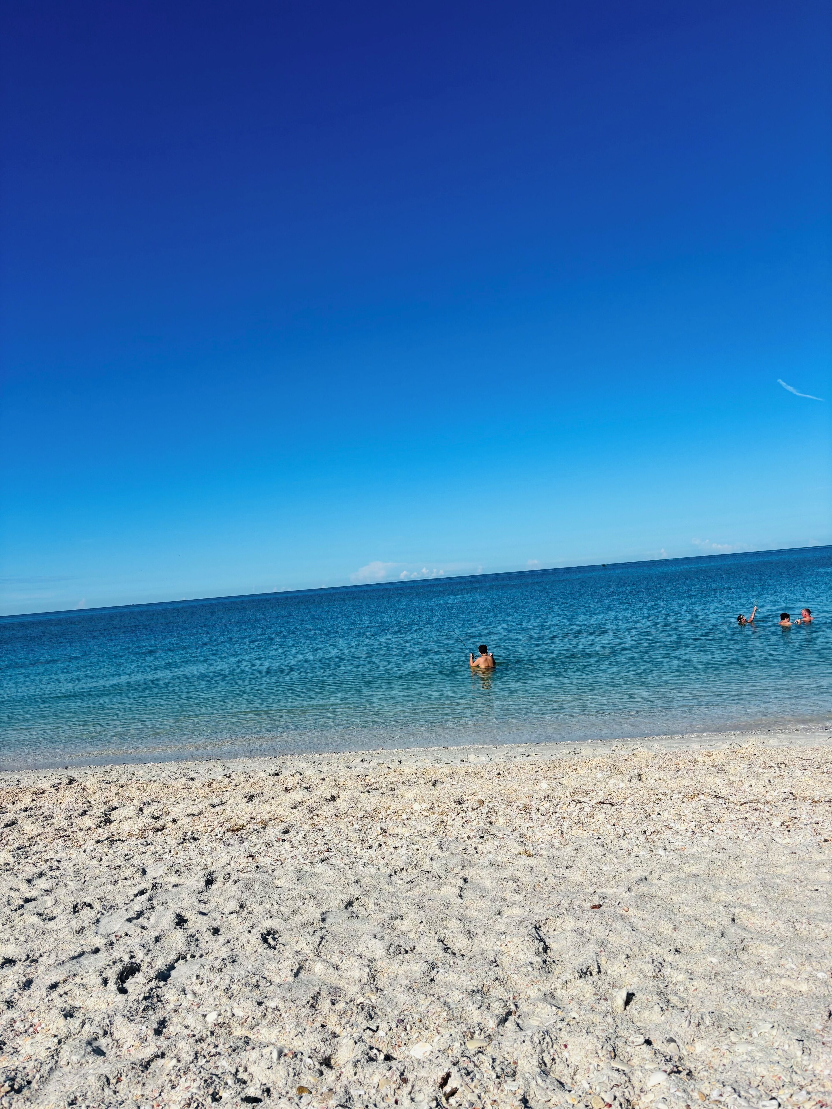 Chaises longues, serviettes de plage