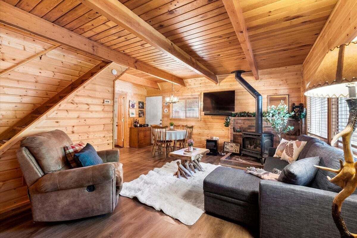 Una televisión, una chimenea, libros