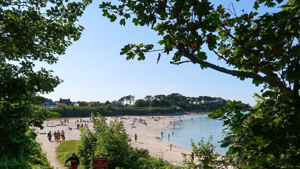 A beach with people enjoying the water, a sign indicating 'BAIGNADE NON SURVEILLEE' and 'CHIENS INTERDITS', and a path leading to the beach. - Maner roz by Interhome (Trebeurden)