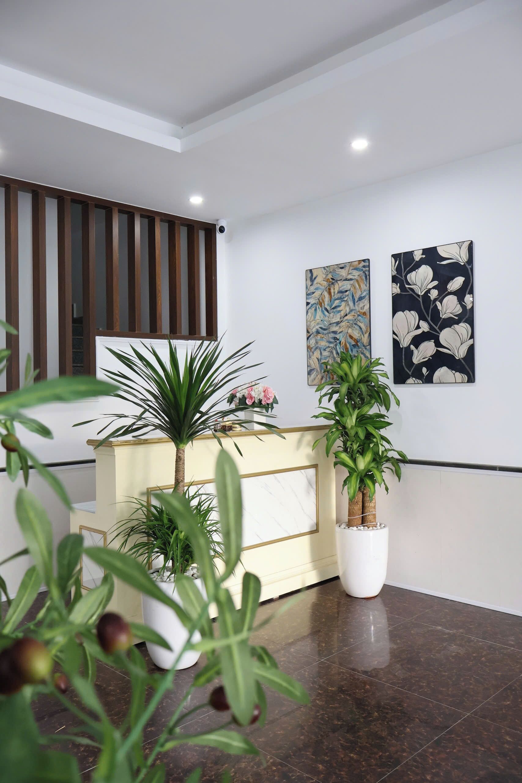 A reception area with a reception desk, potted plants, and two wall-mounted artworks.