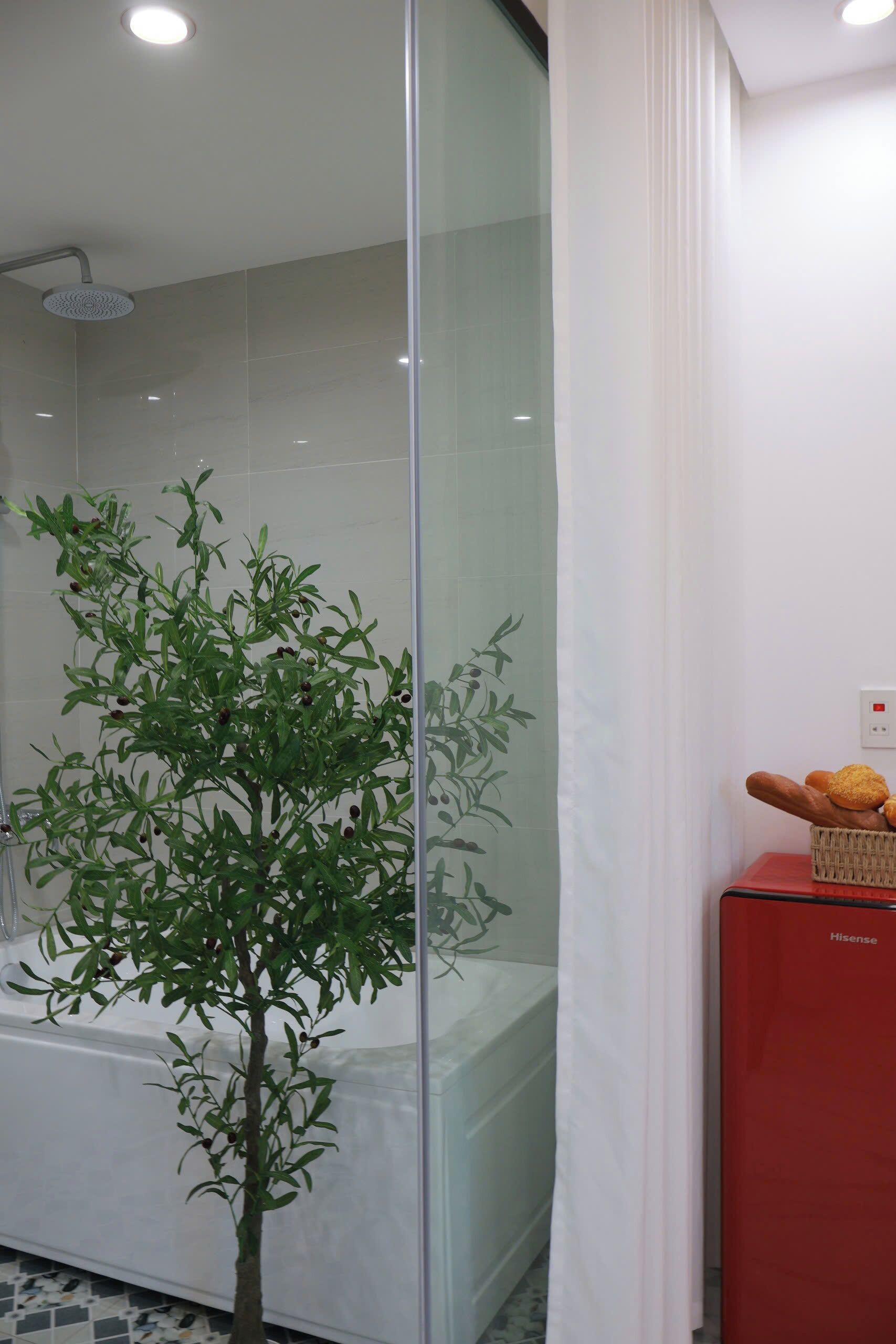 Un baño moderno con cabina de ducha de vidrio, una pequeña planta en maceta y una cesta de pan sobre un mueble rojo.