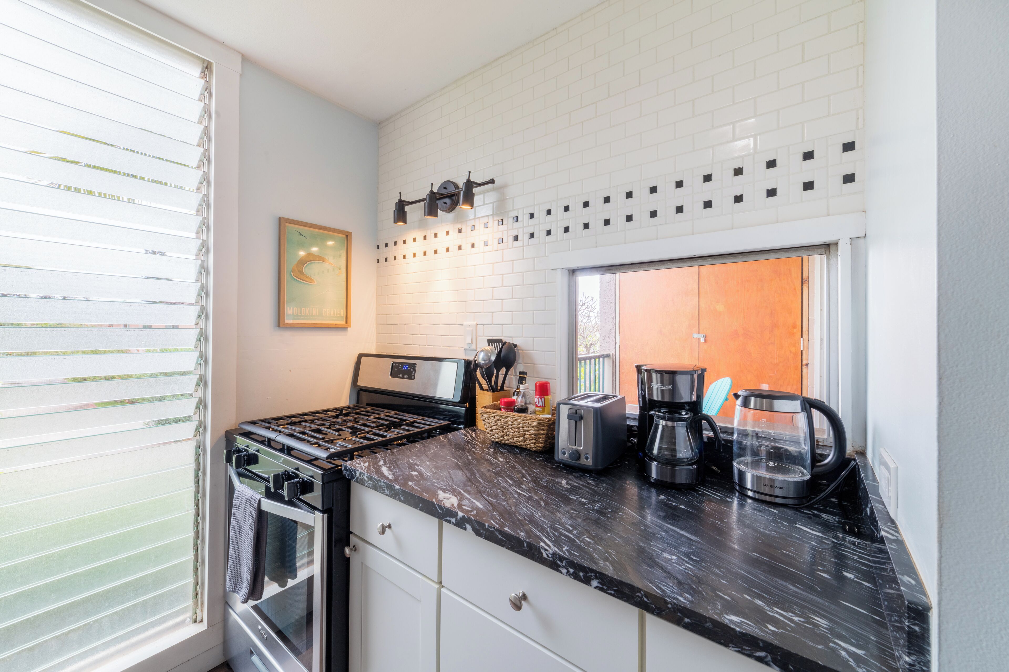 Microwave, oven, stovetop, dishwasher