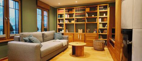 TV, fireplace, books