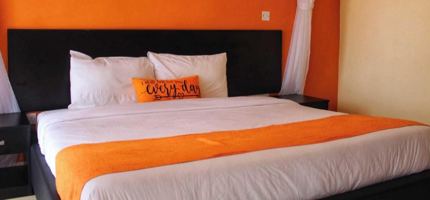 Habitació doble Deluxe | Wifi gratuïta i roba de llit 