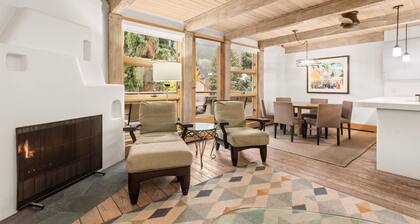 Newly Listed! Mountain-View On Main St Aspen. Walk To Town, Dining, Skiing & Shuttle. W/D, FP, HT