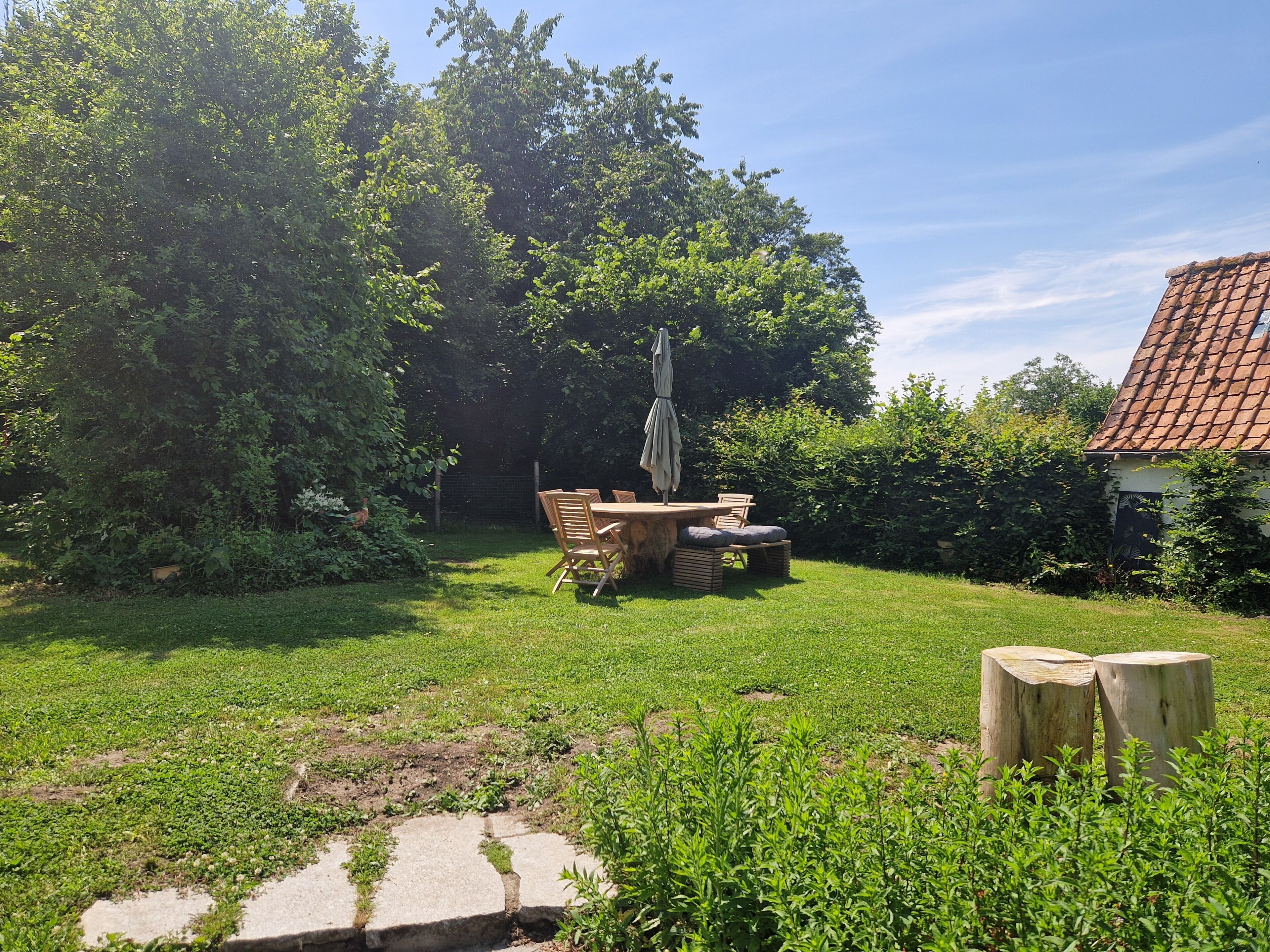 Een tuin met een houten tafel en stoelen, omgeven door weelderige begroeiing en bomen.