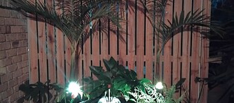 Bunya - Private 4 Bedroom 2 Bathroom House