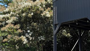 Detalhe da fachada