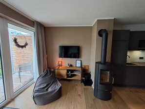 TV, fireplace, video games