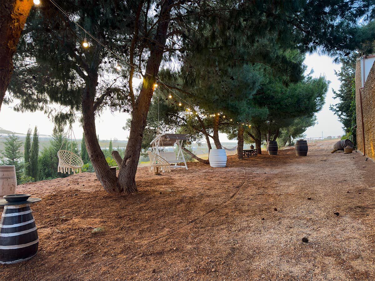 Un espacio al aire libre con árboles, luces colgantes, un columpio y barriles rústicos.