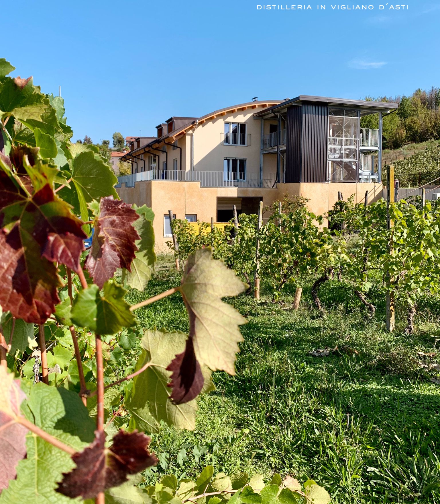 Ein Gebäude mit Balkon und einem Weinberg im Hintergrund.