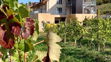 Ein Gebäude mit Balkon und einem Weinberg im Hintergrund.