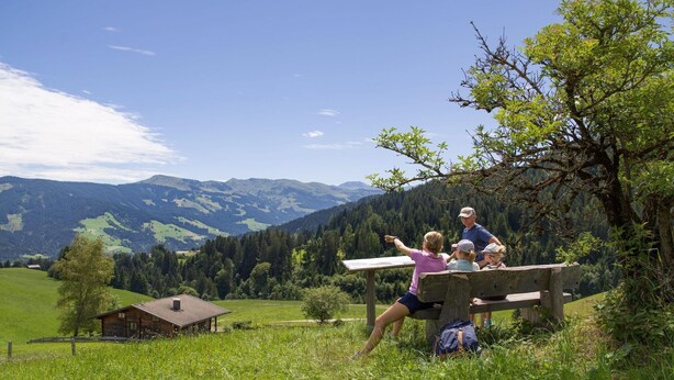 Eine hölzerne Bank mit Blick auf eine grüne Landschaft und Berge im Hintergrund.