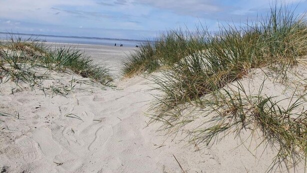 Een zandstrand met duinen en weinig begroeiing.