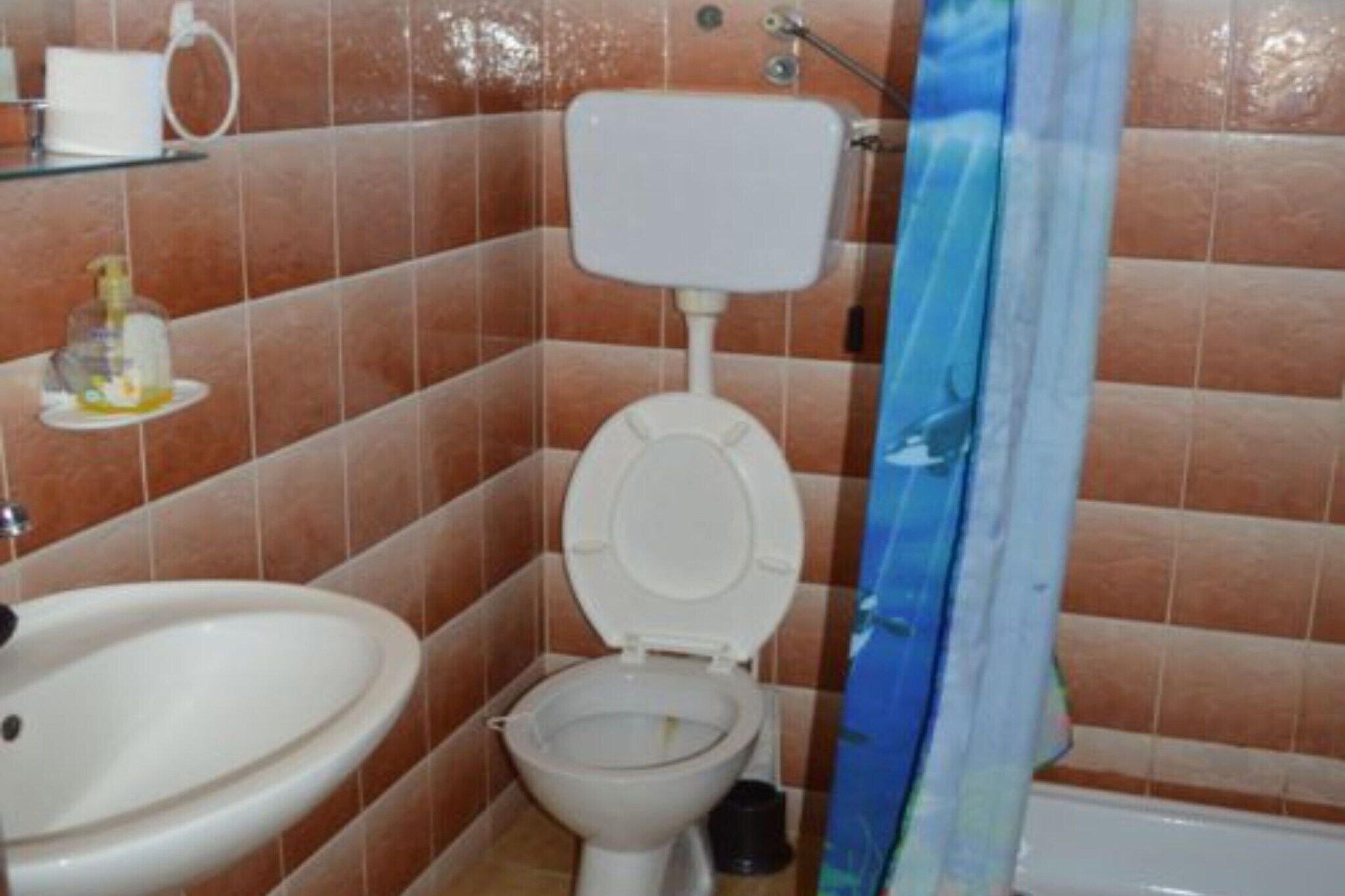Une salle de bain équipée de toilettes, d’un lavabo et d’un rideau de douche.