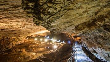 مكان جذب سياحي