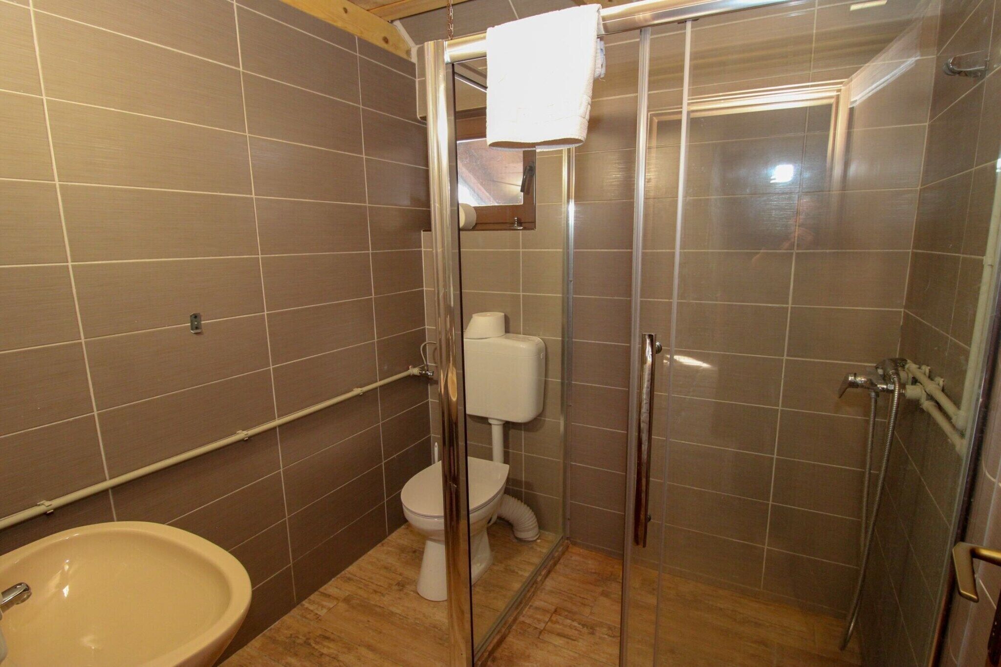 Shower, hair dryer