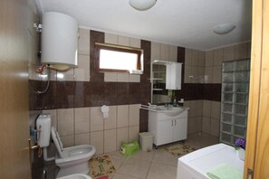 Shower, hair dryer