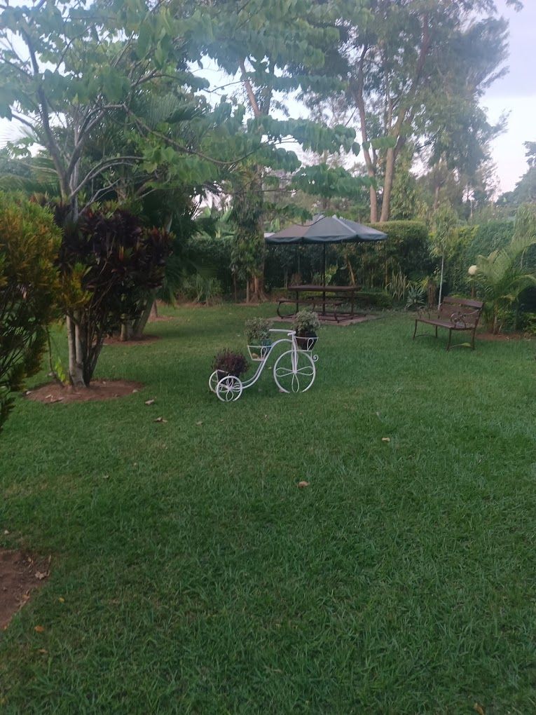 Un espacio al aire libre con césped, una bicicleta de metal, un banco y un pabellón.
