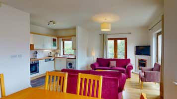 TV, fireplace, DVD player
