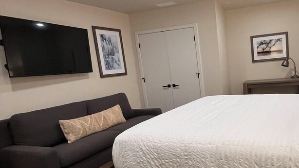 Une chambre à coucher avec un lit, un canapé, une télévision et une porte.