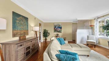 Télévision, cheminée, espaces bureaux