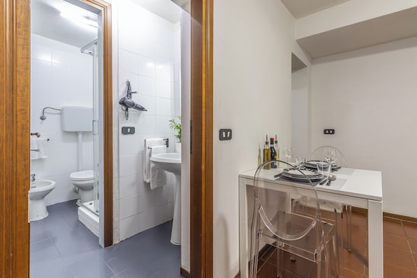 Shower, hair dryer, bidet, towels