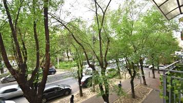 Basic-Apartment, Balkon, Parkblick | Blick vom Balkon