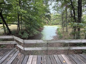 Niet-geclassificeerde afbeelding, 3 van 59, knop