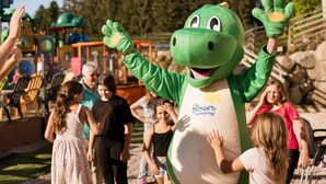 A mascot in a green costume with a flower campings logo, interacting with children at an outdoor event. - Cozy apartment with equipped kitchen (Granges-Aumontzey-Aumontzey)