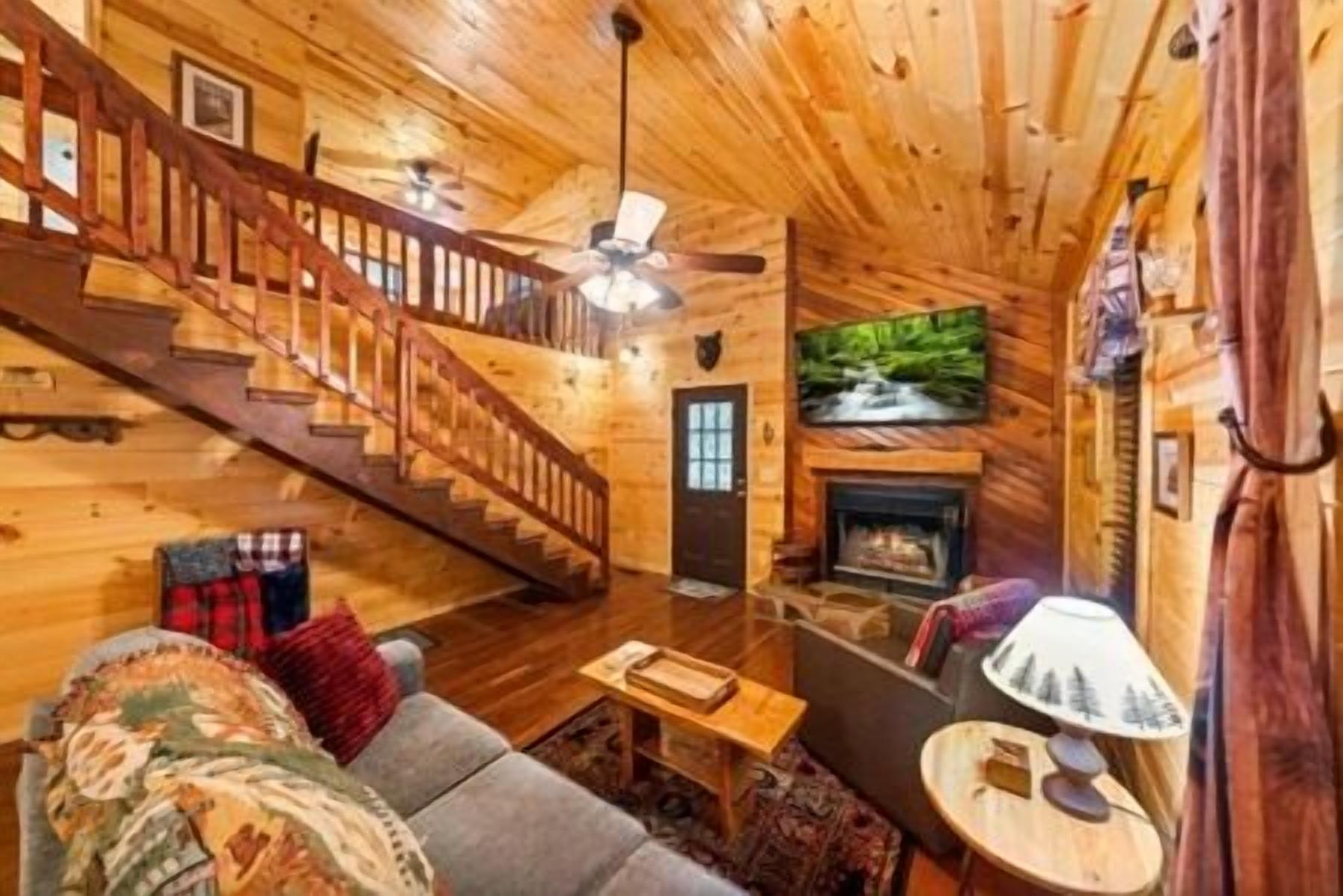 TV, fireplace, video games, DVD player