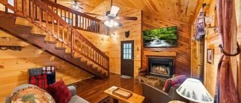 TV, fireplace, video games, DVD player