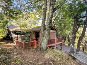 Unclassified image, 4 of 34, button