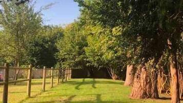 A grassy outdoor area with trees and a wooden fence.