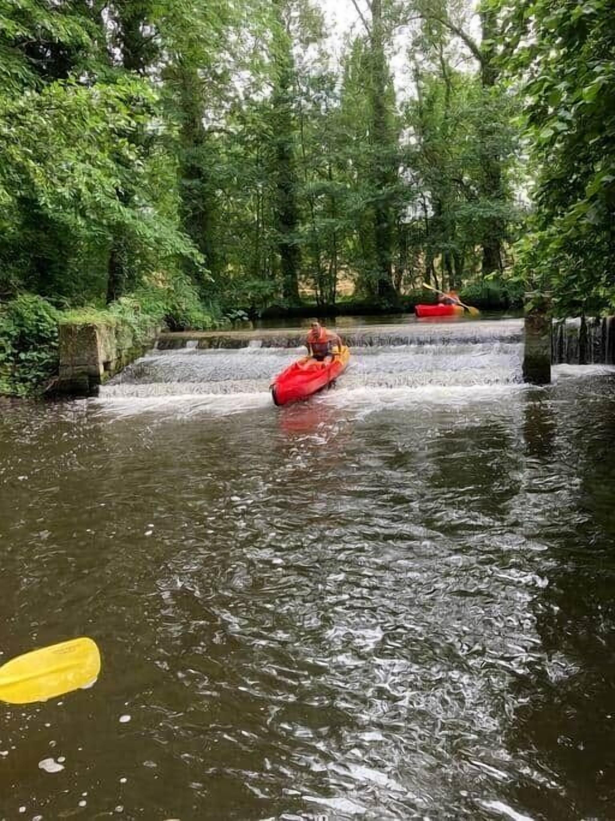 Une rivière paisible où l’on peut faire du kayak, bordée d’une végétation luxuriante.