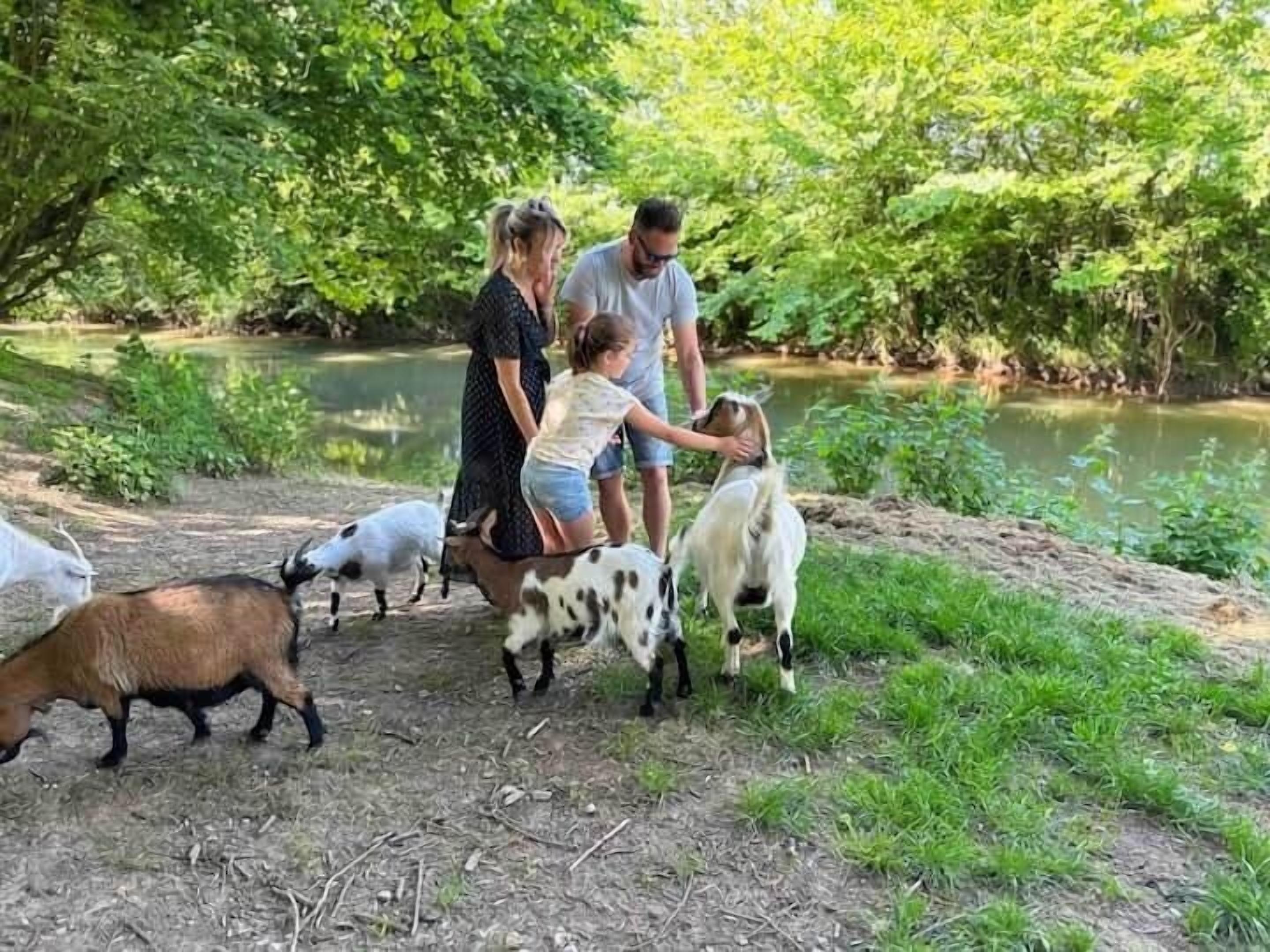 Uma família interagindo com cabras perto de uma margem de rio.