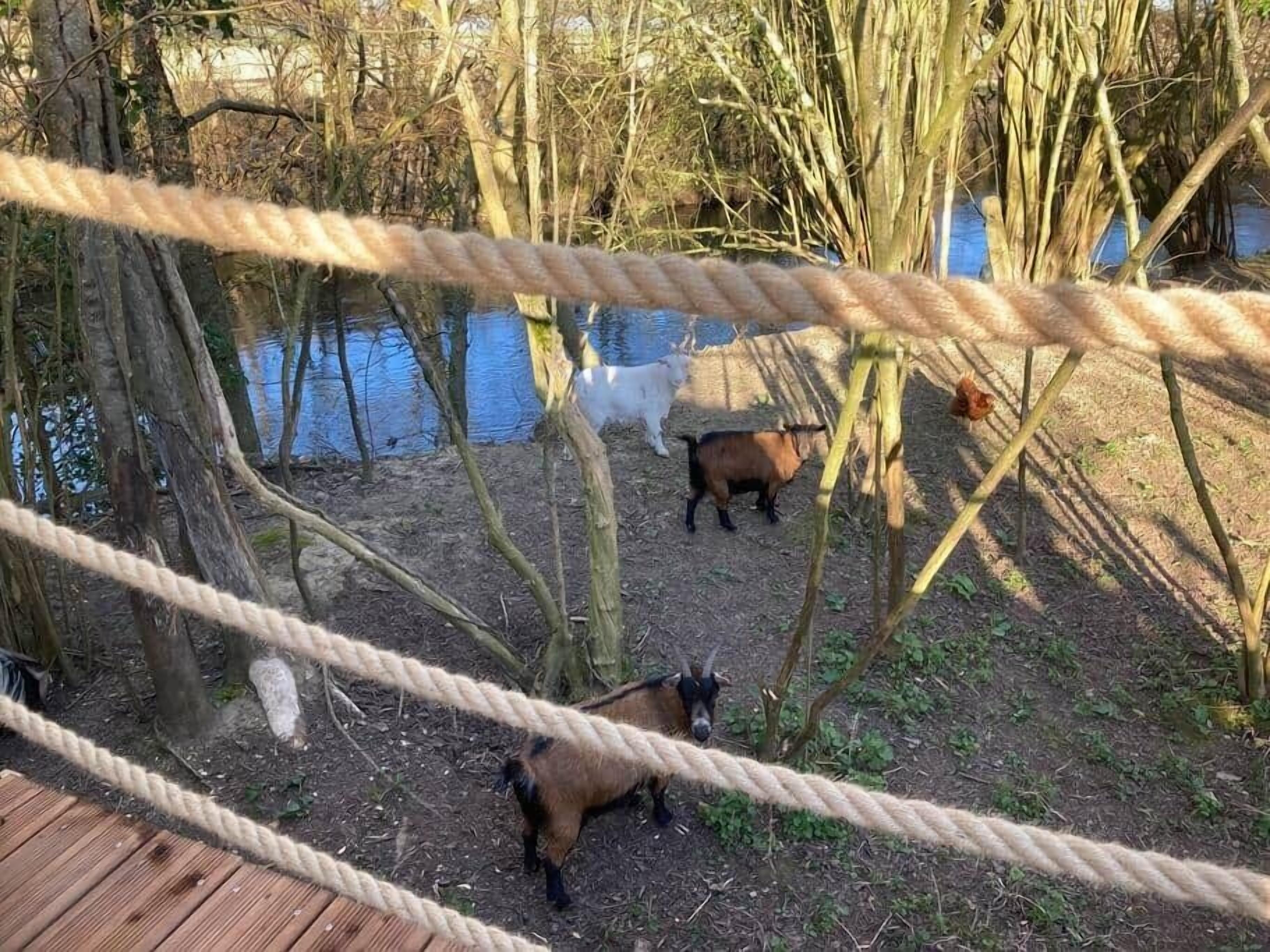 Een touwbordes met bomen en een waterpartij op de achtergrond.