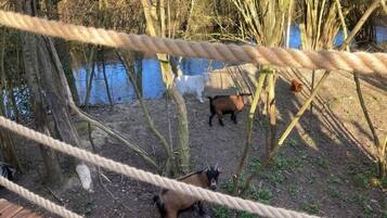 Een touwbordes met bomen en een waterpartij op de achtergrond.