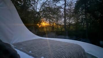 A tent with a view of trees and a distant light source.