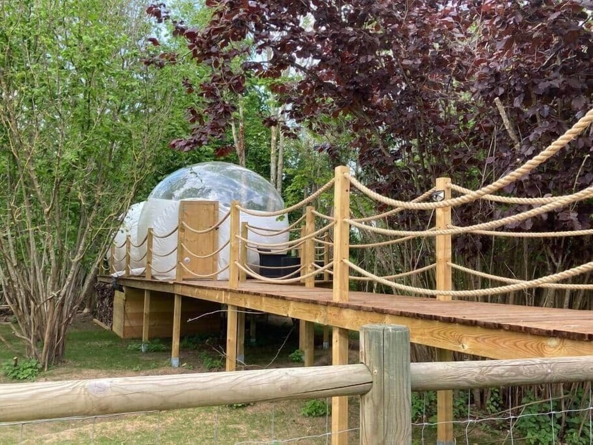 Bild für Gastgeberprofil