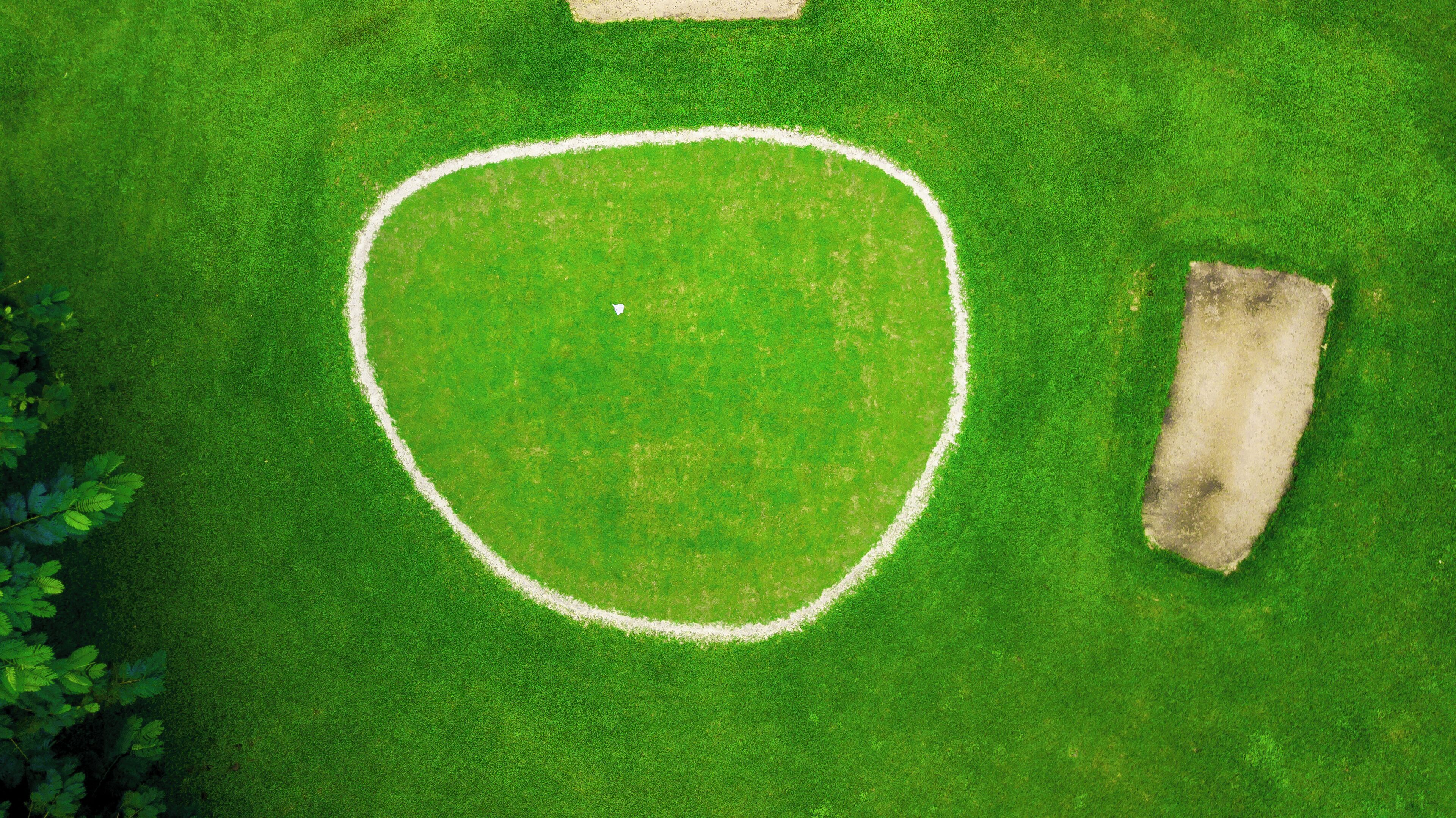An aerial view of a grassy field with a white boundary line, a small patch of dirt, and some foliage.