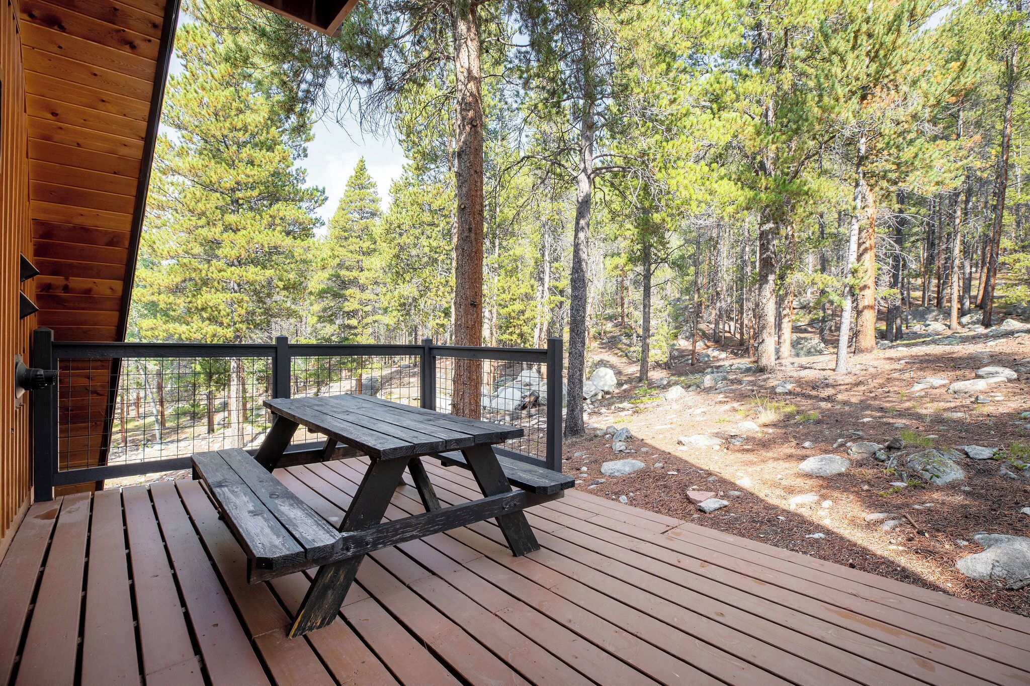 Have a meal outside underneath the pines!